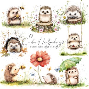 Clipart hérissons mignons, lot PNG, illustrations de style aquarelle, scrapbooking, fabrication de cartes, téléchargement numérique, sublimation, usage commercial.
