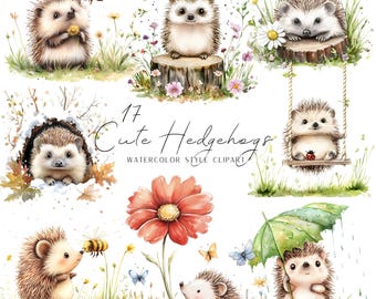 Cute hedgehogs clipart, PNG bundle, watercolor style illustrations, scrapbooking, cardmaking, digital download, sublimation, commercial use.