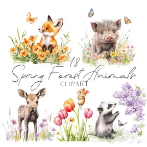Conjunto de imágenes prediseñadas de acuarela de animales del bosque primaveral: adorables animales del bosque, como conejos, zorros, erizos, mapaches y más. Ilustraciones florales para guarderías, PNG.