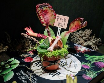 Venus Barbie Trap - Decoration (4 variants)