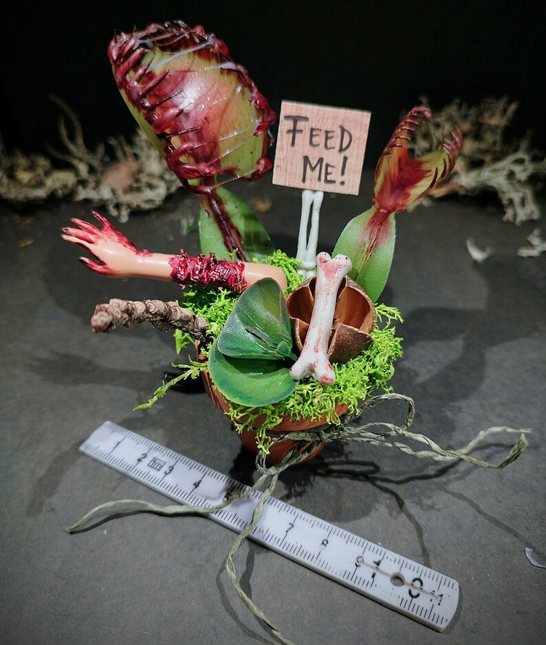 Venus Barbie Trap Decoration 4 variants image 4