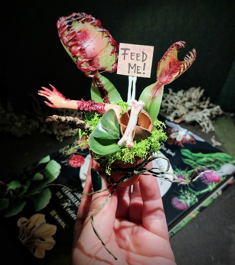 Venus Barbie Trap Decoration 4 variants image 2