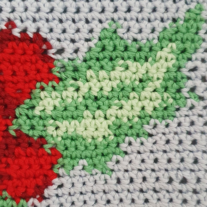Christmas Holly Crochet Pattern Crochet Colourwork Wall - Etsy