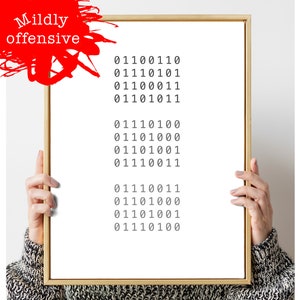 Peut inclure: Une affiche encadrée blanche avec le texte "Mildly offensive" en rouge en haut et une série de nombres de code binaire en noir en dessous.