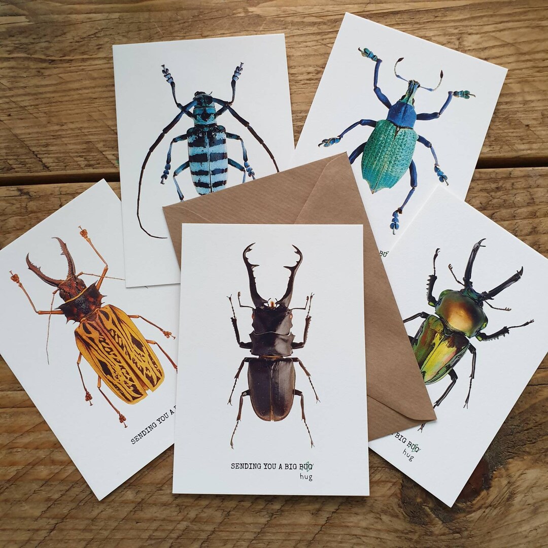 Sending You a Big Hug Postcard Set of 5 or 10 Bug Insect Entomology ...