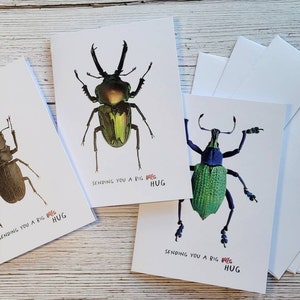 Vous envoyer une carte de vœux gros bogue/câlin - 1 ou lot de 3 | bogue | insecte | entomologie | courrier d'escargot | câlin