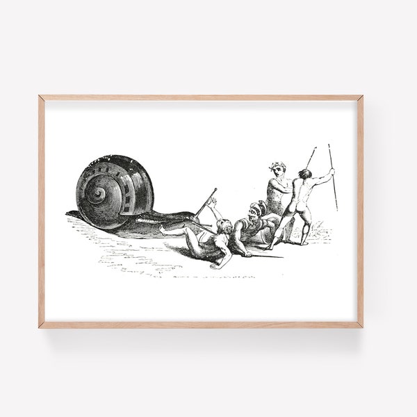 Snail print | A4 | vintage illustration | battle | malacologist | GAL