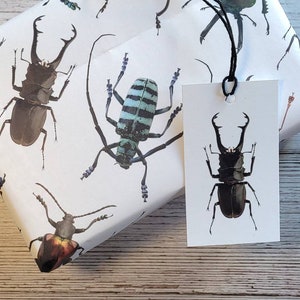 Bug wrapping paper - matching tag and card available | bug | insect | entomology | snailmail | hug | positive affirmation