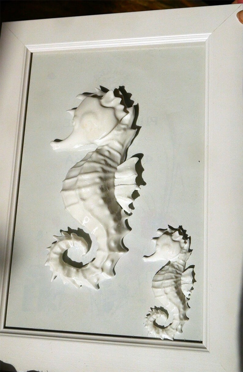 ORIGINAL White Seahorse. Wall Sculpture. 3D Picture. Sea Etsy
