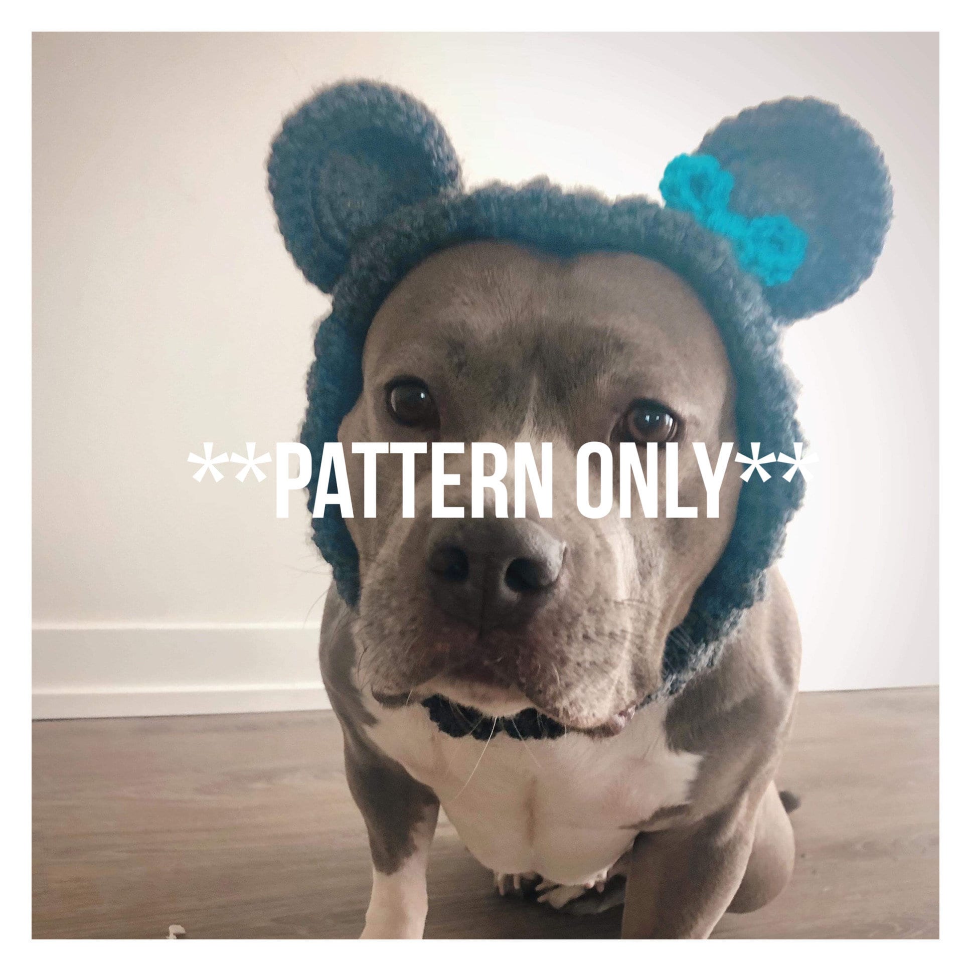 30 Dog Snood Crochet Patterns for Cozy, Cute, and Practical Pet Wear 17 Dog Bear Snood Crochet Pattern