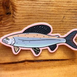 Puede incluir: Una pegatina con una ilustración estilizada de un pez. El pez tiene un cuerpo azul claro con rayas naranjas y grises, aletas negras y una aleta dorsal azul oscuro. La pegatina está delineada en rosa.
