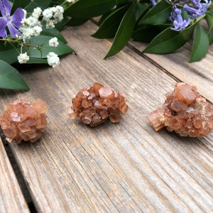 May include: Three brown selenite crystal clusters on a wooden surface. The crystals are in the shape of small, rounded clusters.