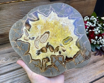 Utah Septarian Geode Slice | Exact Piece Pictured | Polished Dragon Stone