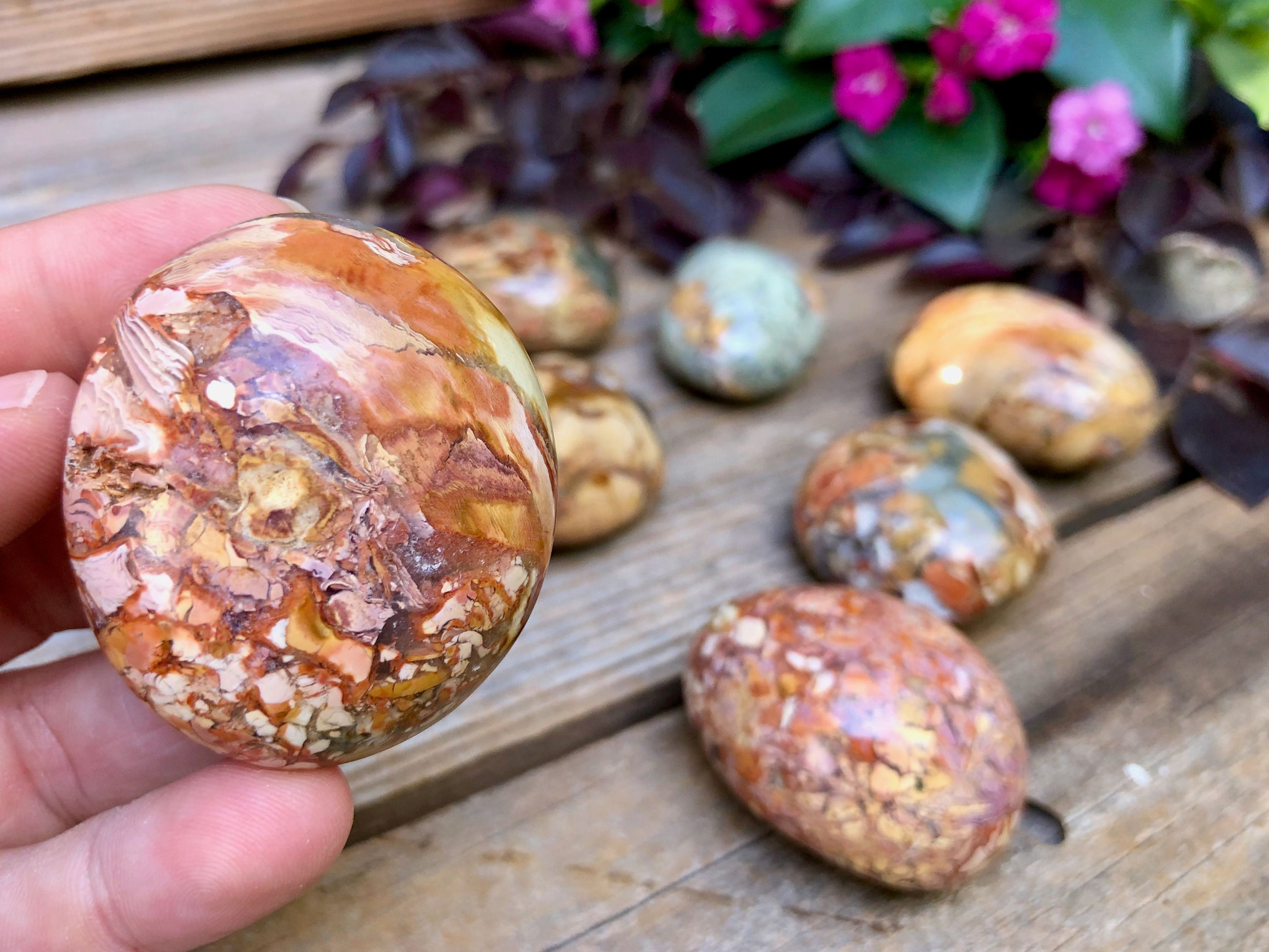 Ibis Agatized Jasper Polished Stone - Etsy