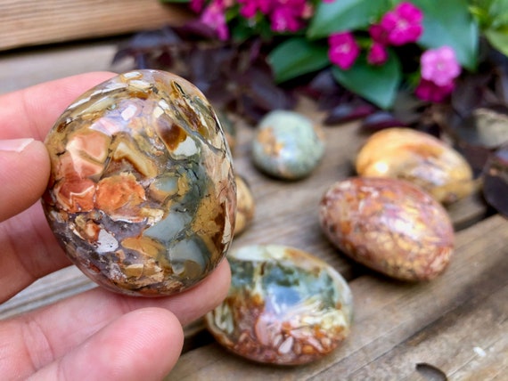 Ibis Jasper Polished Palm Stone | Agatized Jasper - Etsy