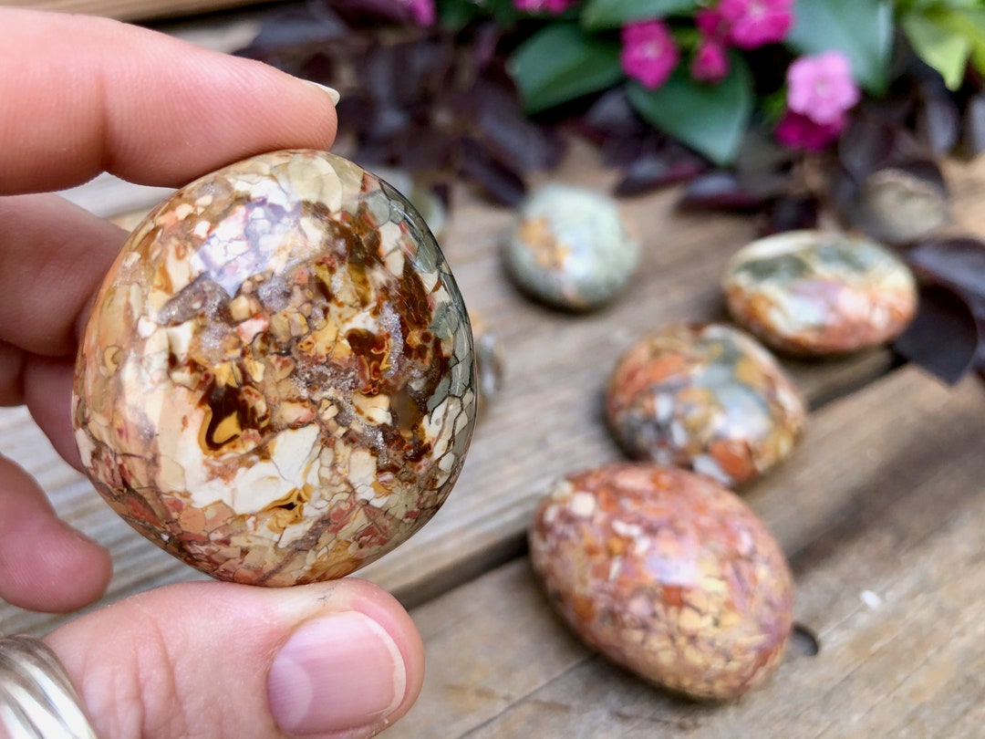Ibis Jasper Polished Palm Stone | Agatized Jasper - Etsy