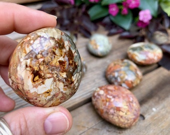 Ibis Jasper Polished Palm Stone | Agatized Jasper