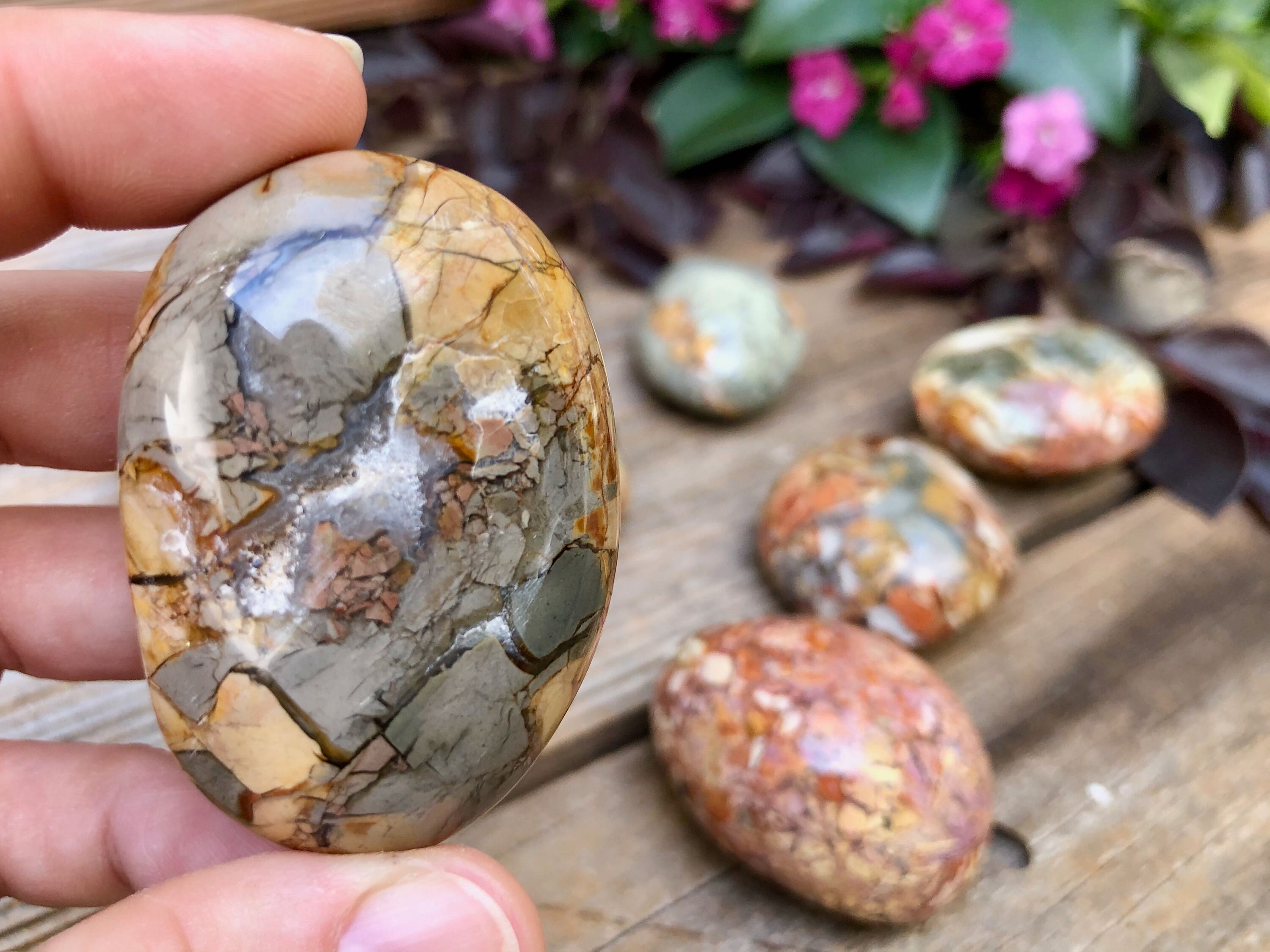 Ibis Jasper Polished Palm Stone | Agatized Jasper - Etsy