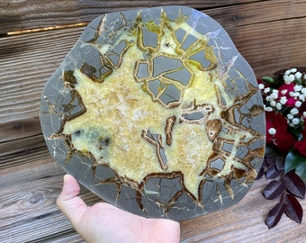 Utah Septarian Geode Slice | Exact Piece Pictured | Polished Dragon Stone
