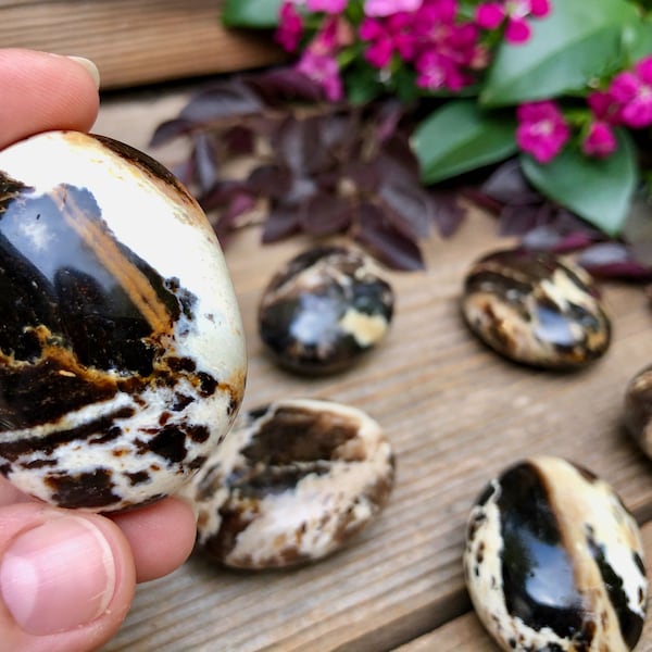 Brown Opal Polished Stone