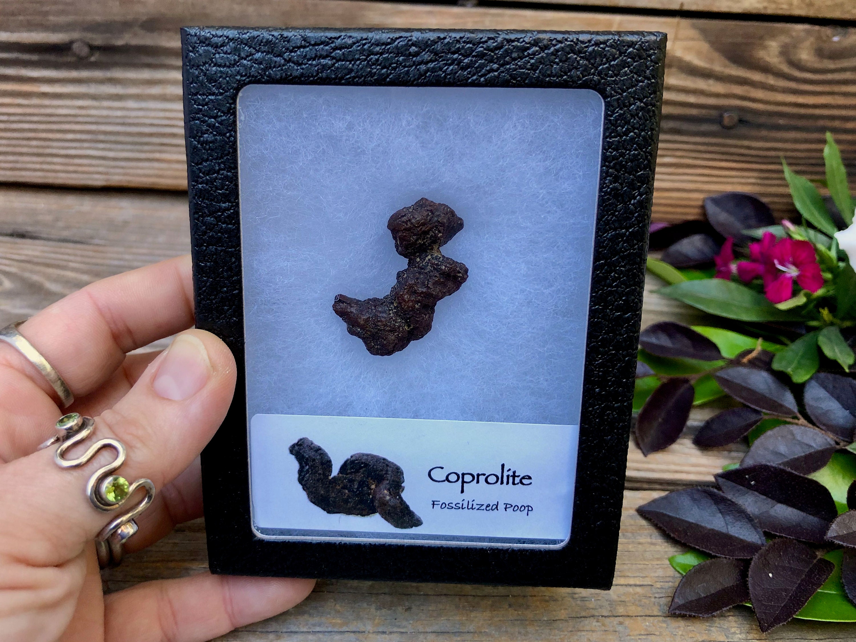 Coprolite Zipper Pull, Fossil Dinosaur Poop Bag Charm