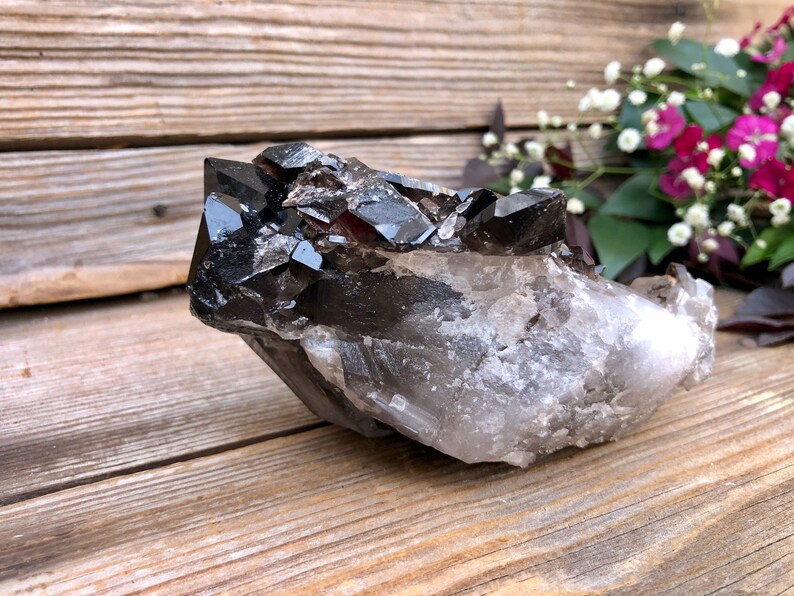 Extra-Large Smoky Quartz Crystal Cluster