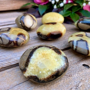 Septarian Polished Palm Stone