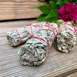4&quot; Sage Bundle