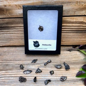 Meteorite in Display Case