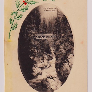 Hangbrug, CAPILANO CANYON, Nr. Vancouver, Brits-Columbia, CANADA, antieke kerstkaart/schroot met echte foto, jaren 1900