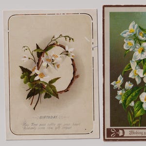Bellissimi FIORI BIANCHI, biglietto d'auguri/materiale effimero/ritagli di artisti vittoriani, lotto di 2, circa 1890