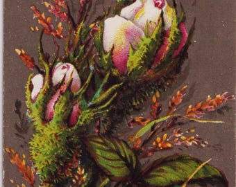 Tarjeta/recorte navideño antiguo de artista victoriano, ROSAS ROSAS, 1879