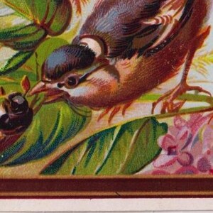 Petit oiseau avec scarabée, fleurs de lilas, carte de voeux de nouvel an victorien/éphémère/scrapbooking, c1880s