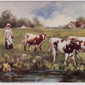 La mandria di muggiti si snoda lentamente sul Lea, mucche, cartolina d'artista antica, Tucks Country Life #9182, c1910