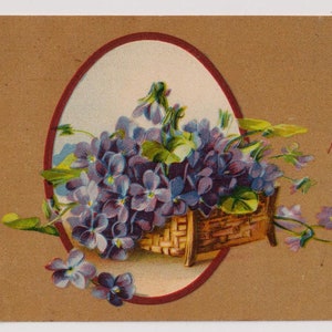 VIOLE in un cestino, Bonne et Heureuse Fete, antica cartolina francese, pubblicata nel 1912