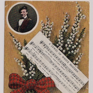 Ein Zweig weißes Heidekraut, Tartan Schleife, Harry Lauder? Antike Postkarte, Gesendet 1910 an W. Cass, Essex Rgt. ,Curragh Camp, Kildare,Irland