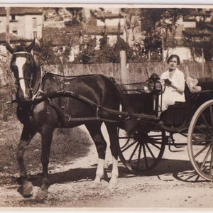 Antique Real Photo Postcard, Italian WOMAN with HORSE and CART, c1920