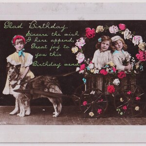 Antieke echte foto verjaardagskaart, border collie? HOND trekt kar met schattige kleine KINDEREN, Geplaatst in 1910, Aristophot (B)