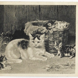 MAMMA E GATTINI, cartolina d'artista antica, c. 1905, W McKenzie