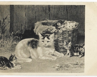 MOTHER and KITTENS, Antique Artist Postcard, c1905, W McKenzie
