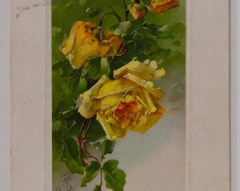 ROSAS AMARILLAS, C. Klein, Postal de cumpleaños antigua, c. 1908