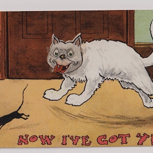 Ora ce l'ho! GATTO che insegue TOPO! Artista Reg Carter, cartolina antica a fumetti della prima guerra mondiale, cartolina "Wiggle Woggle", pubblicata nel 1913