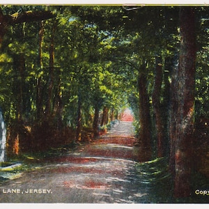 Carte postale ancienne, VINCHELEZ LANE, JERSEY, annonce à l'arrière, Albert Smith, photographes, 3, Broad Street, Jersey, c1920