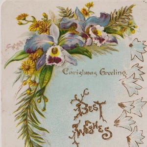 Victoriaanse kerst Britse kunstenaar wenskaart/schroot, ORCHIDS, Raphael Tuck and Sons, c1890