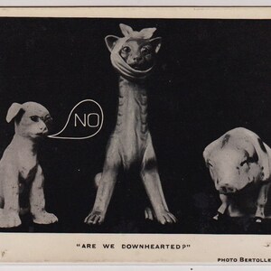 Antica cartolina britannica del 1906 circa: statuette umoristiche di cani, gatti e maiali - "Siamo scoraggiati?" Foto di Bertolle