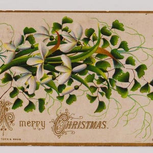 Perce-neige et fougère, carte de Noël de voeux victorienne, Raphael Tuck, c1890