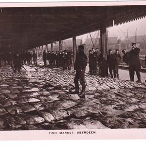 Marché aux poissons, ABERDEEN, Écosse, carte postale ancienne avec photo réelle, c1910, agneau T, Aberdeen