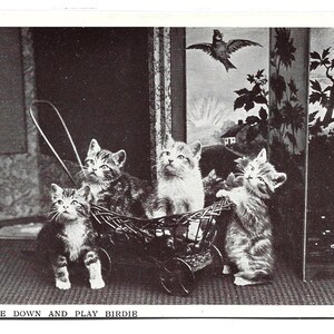 Scendi e gioca con Birdie, GATTI, cartolina fotografica antica, Tucks Glosso "Happy Catland" n. 5597, c. 1906