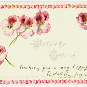 Deliziosi PANSIES/Fiori, Antica cartolina di PASQUA tedesca, pubblicata nel 1900, Theo. STROEFER