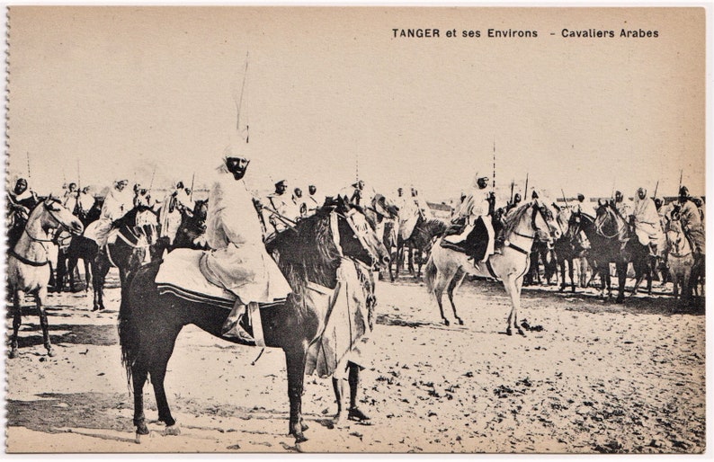 TANGER et ses Environs MOROCCO Reims Vintage Postcard c1910 J Bienaime Arabian HORSES
